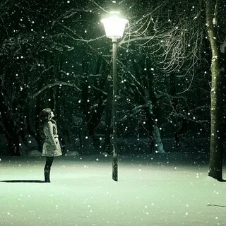 Фото из сети