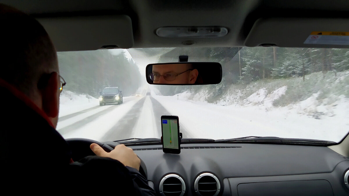 Едем за ёлочкой) фото автора