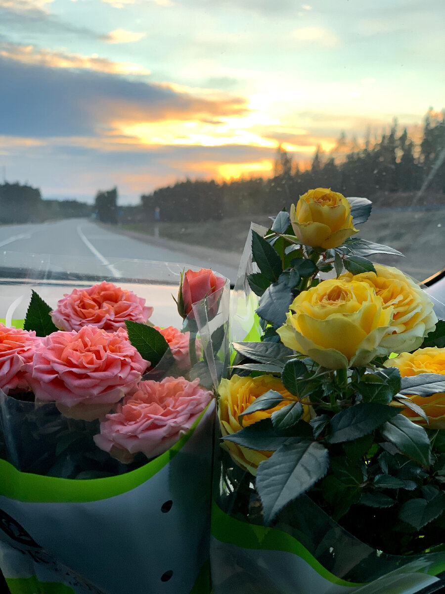 Всегда красивые из магазина :)