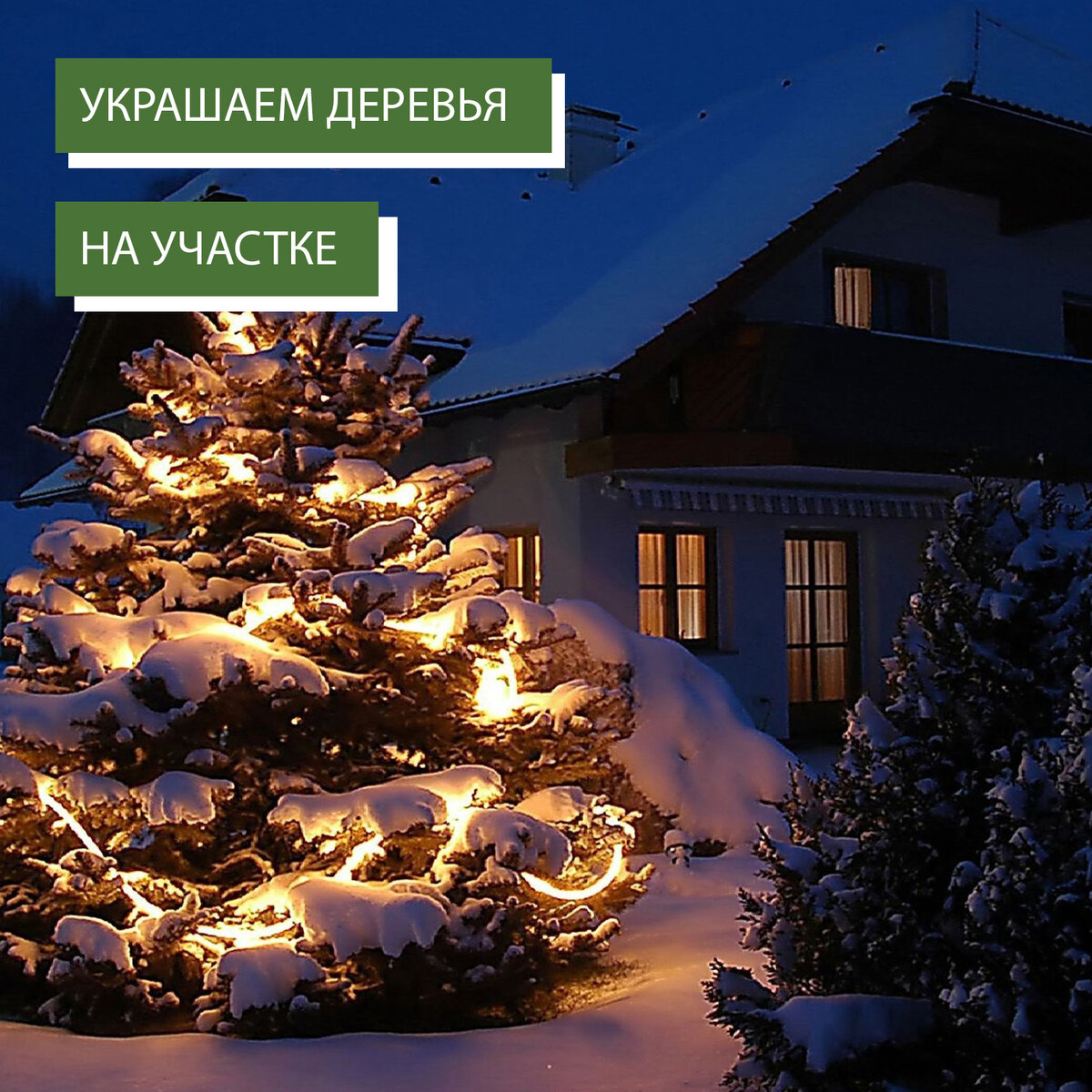 🎄 Новогодняя елка? Или что-то интереснее? | Ask Home | Дзен