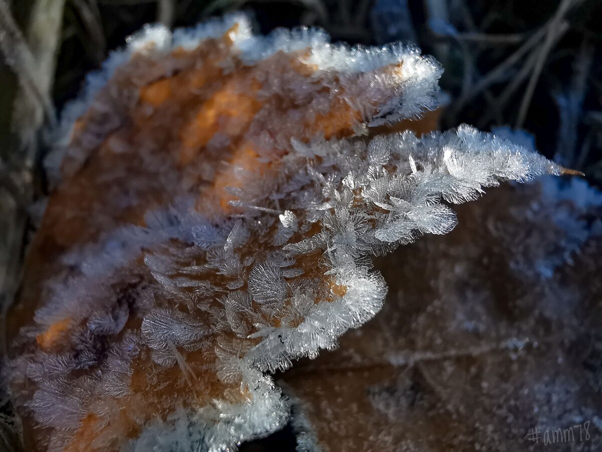 2020 г. Huawei P30 Pro