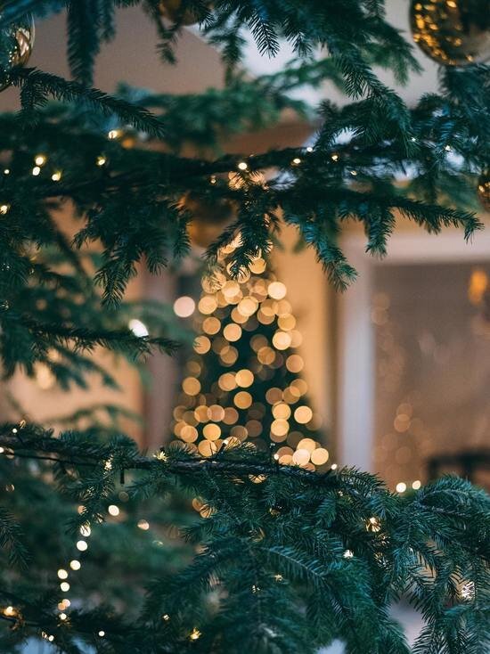     ФОТО UNSPLASH.COM