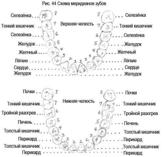 Сколько может болеть зуб