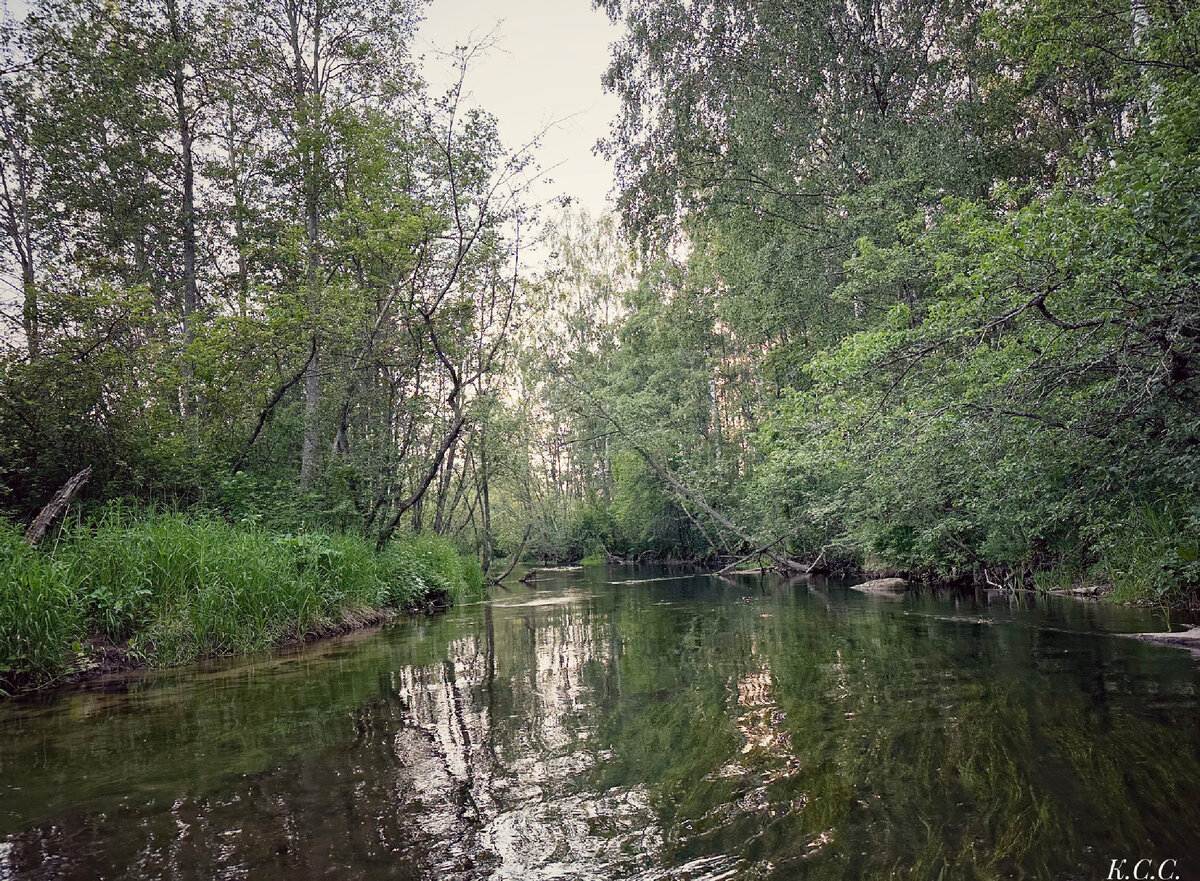 Форелевая речка ( мой архив )