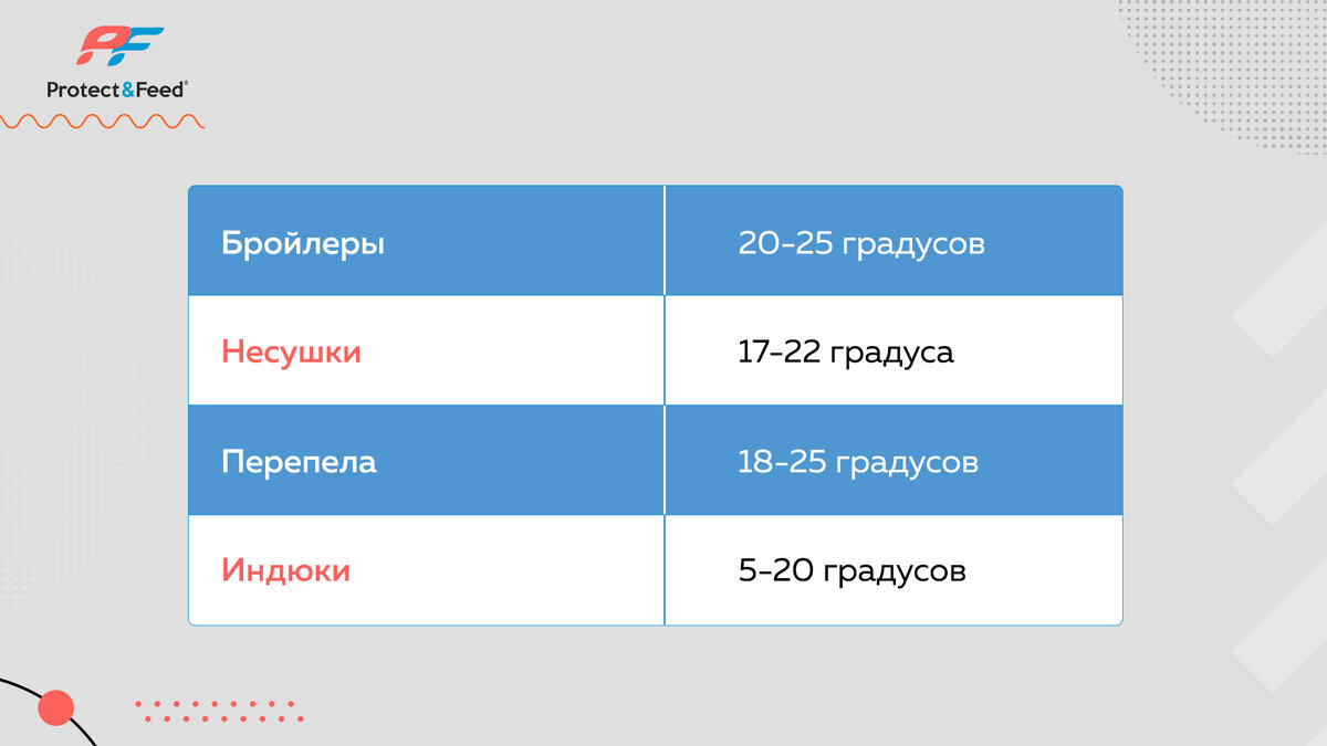 Температурный режим для разных видов сельхоз птицы.