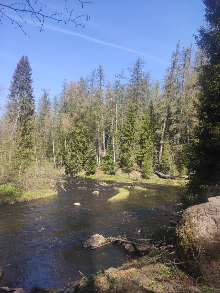 Линдуловская роща после спуска к воде.
