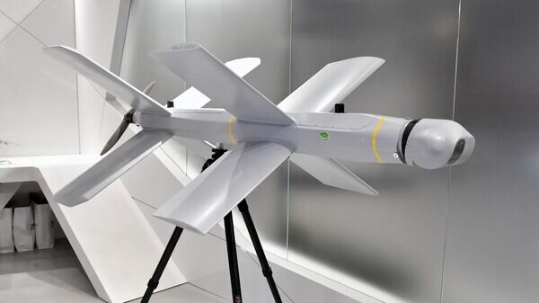    © РИА Новости . Михаил Воскресенский