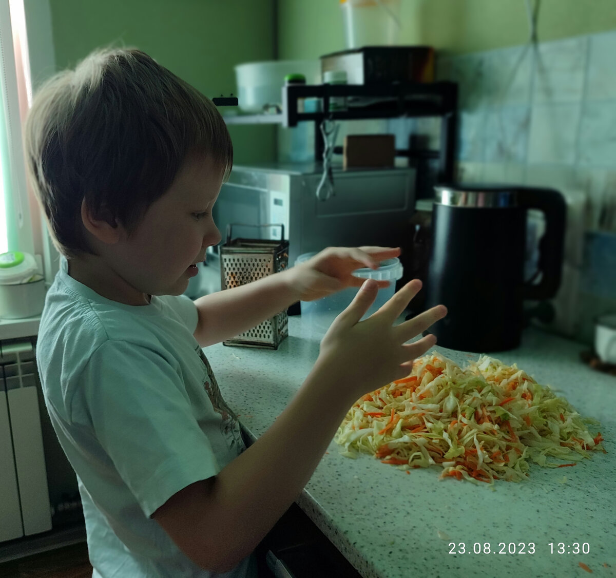 Встала на скользкую дорожку заготовок, или как мы с сыном капусту квасили |  Кошкин хвост | Дзен