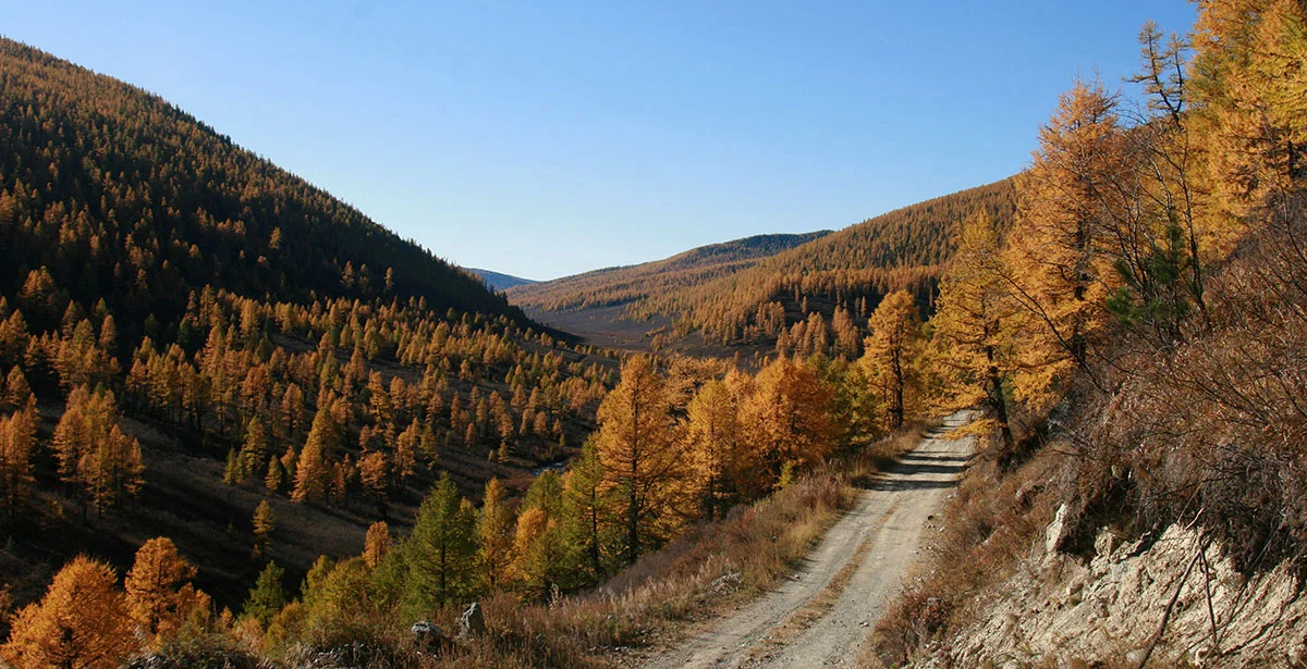 Дорога на Язулу. Фото автора.