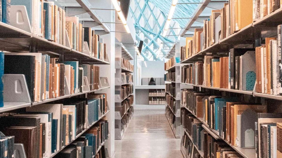    Фото: Unsplash Рашид Ахмежанов