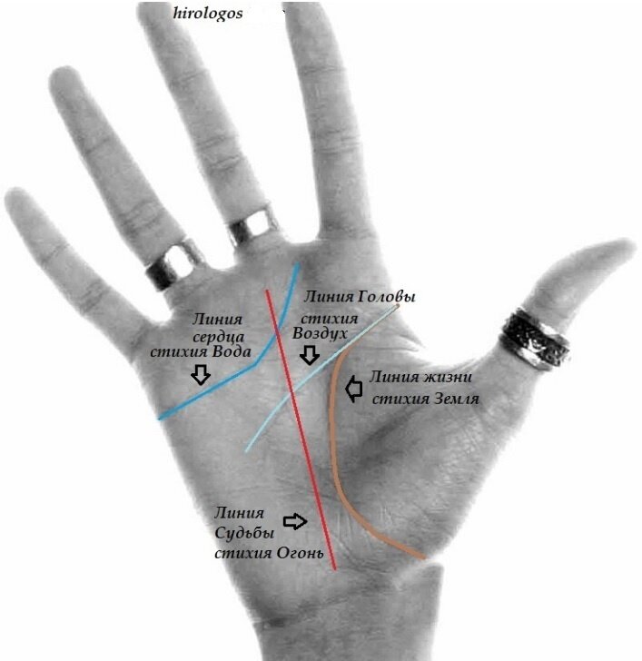 Карта расположения главных линий на ладони: линия Жизни (стихия Земля), линия Головы (стихия Воздух), линия Сердца (стихия Вода), линия Судьбы (стихия Огонь).