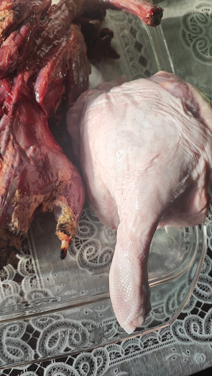 Утка и птеродактель🦆 и 🦖
