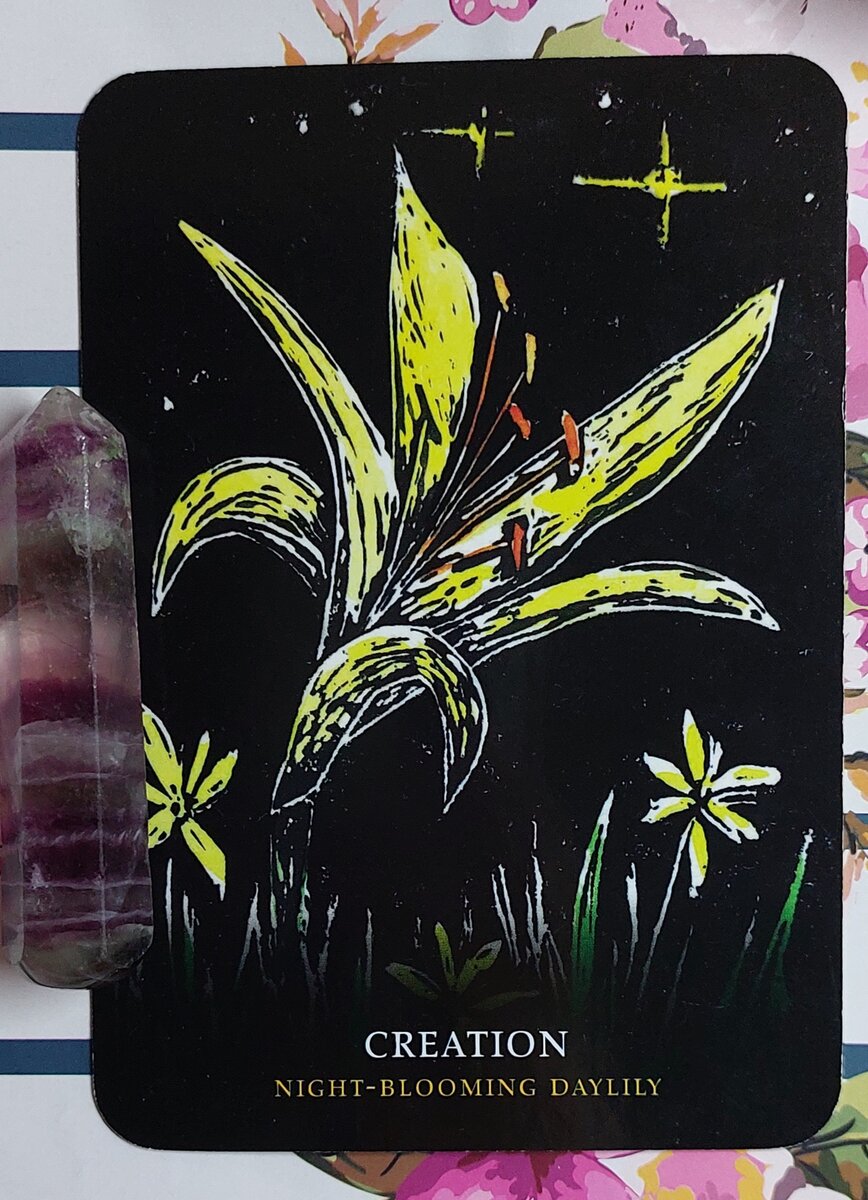 Колода: “Flowers of the Night Oracle” Cheralyn Darcey