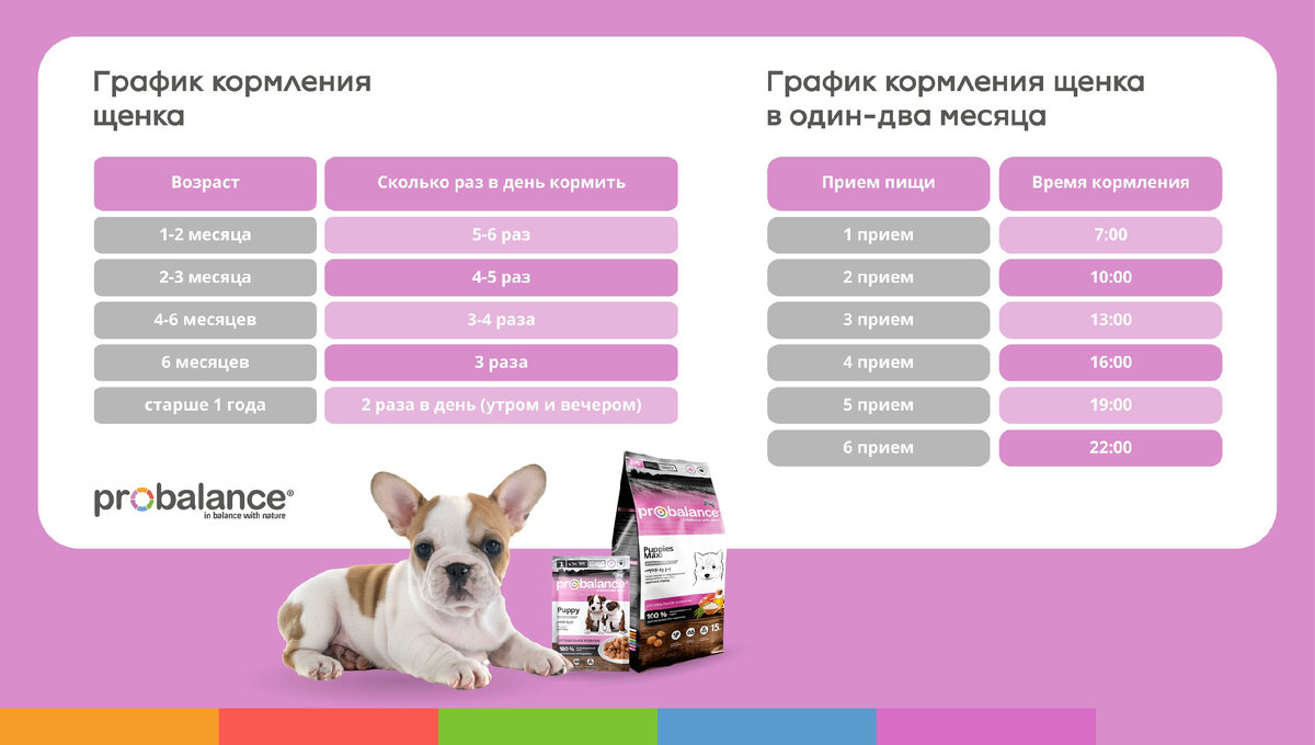 Можно кормить щенка детской смесью