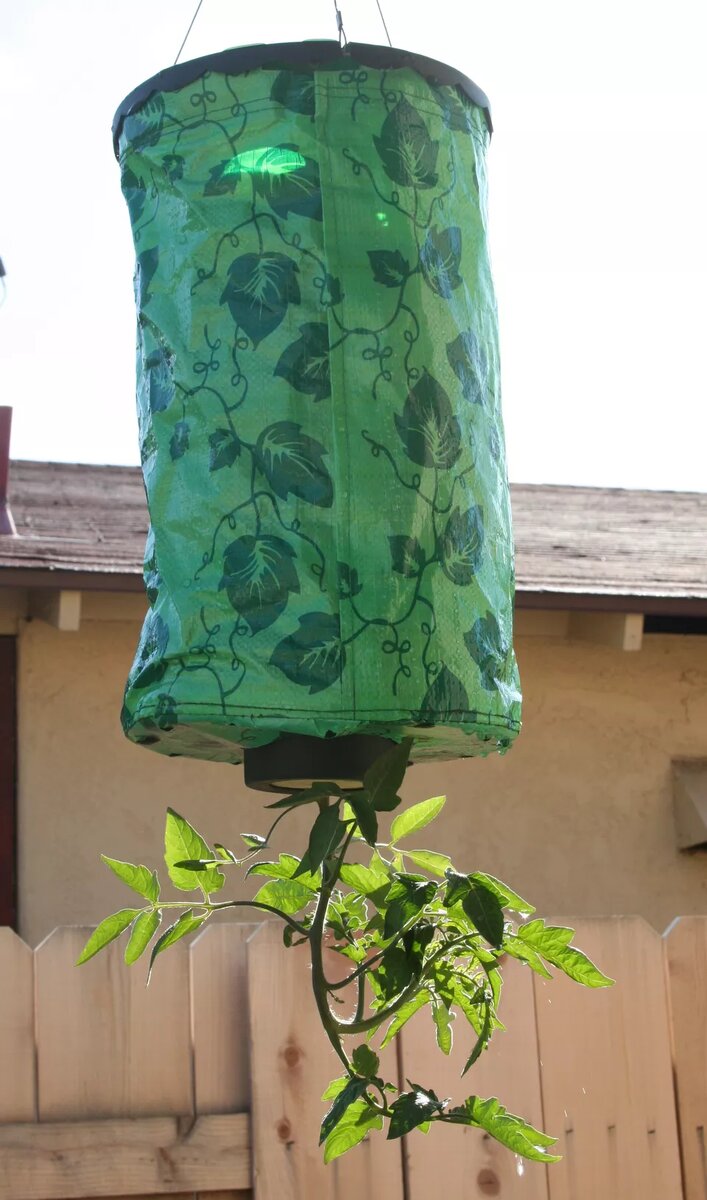 @Ewen Roberts / Flickr / CC By 2.0