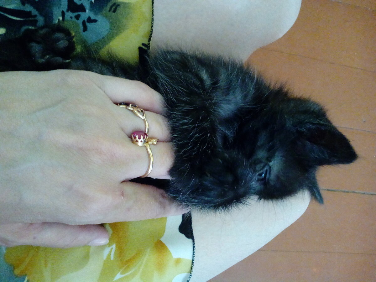 фото автора "Я на ручках у Тани"