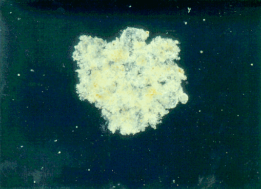 Фрагмент "снега" в несколько сантиметров