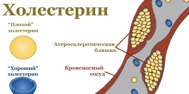 фото: https://tiens5.com.ua