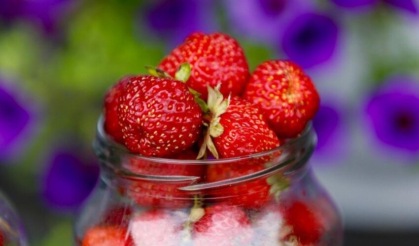 Фото мэрии Южно-Сахалинска