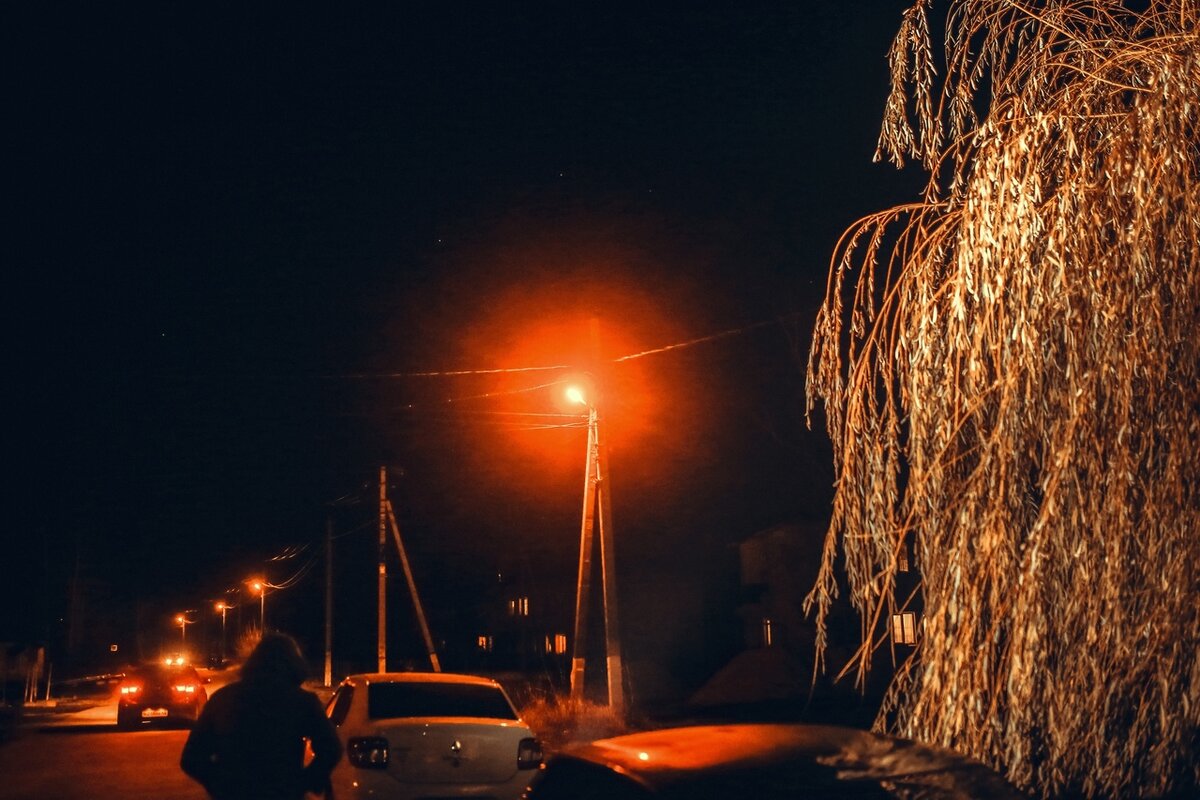 Поселок Карла Либкнехта. Фото пресс-службы администрации региона