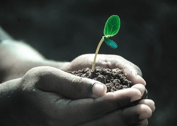 https://cdn.pixabay.com/photo/2016/11/19/11/11/hands-1838658_960_720.jpg 