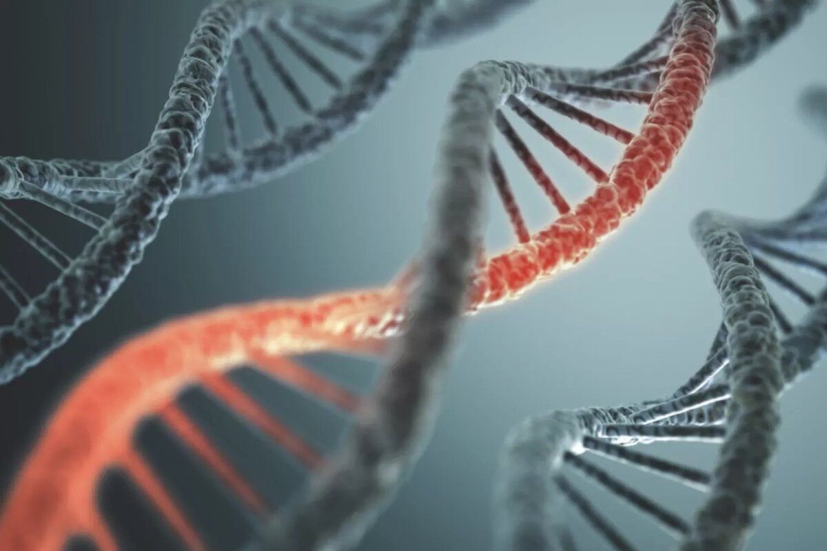 KTSDESIGN / Getty Images