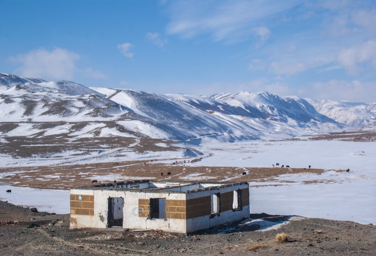 Бельтир Кош Агачский район
