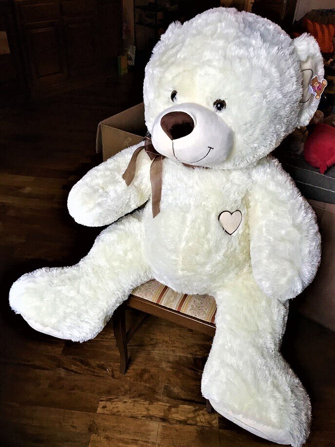 Фото автора канала  