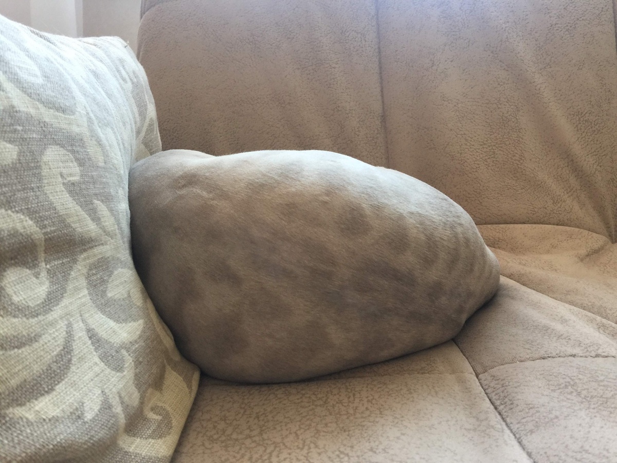 Ничего не хочется. Нахлынула грусть. Депрессия. 