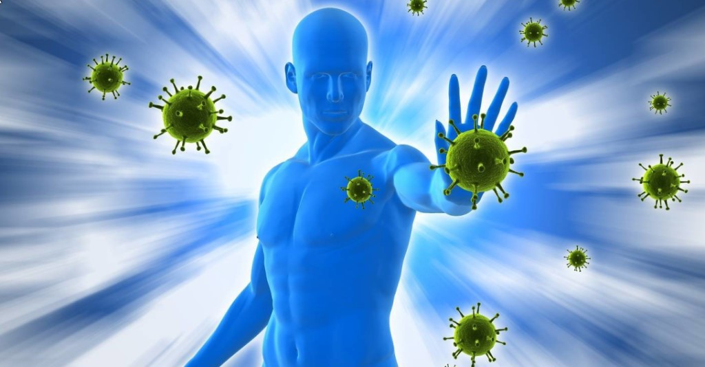 Яндекс.картинки