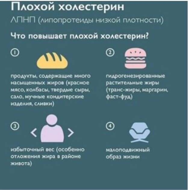 Пониженный холестерин у ребенка