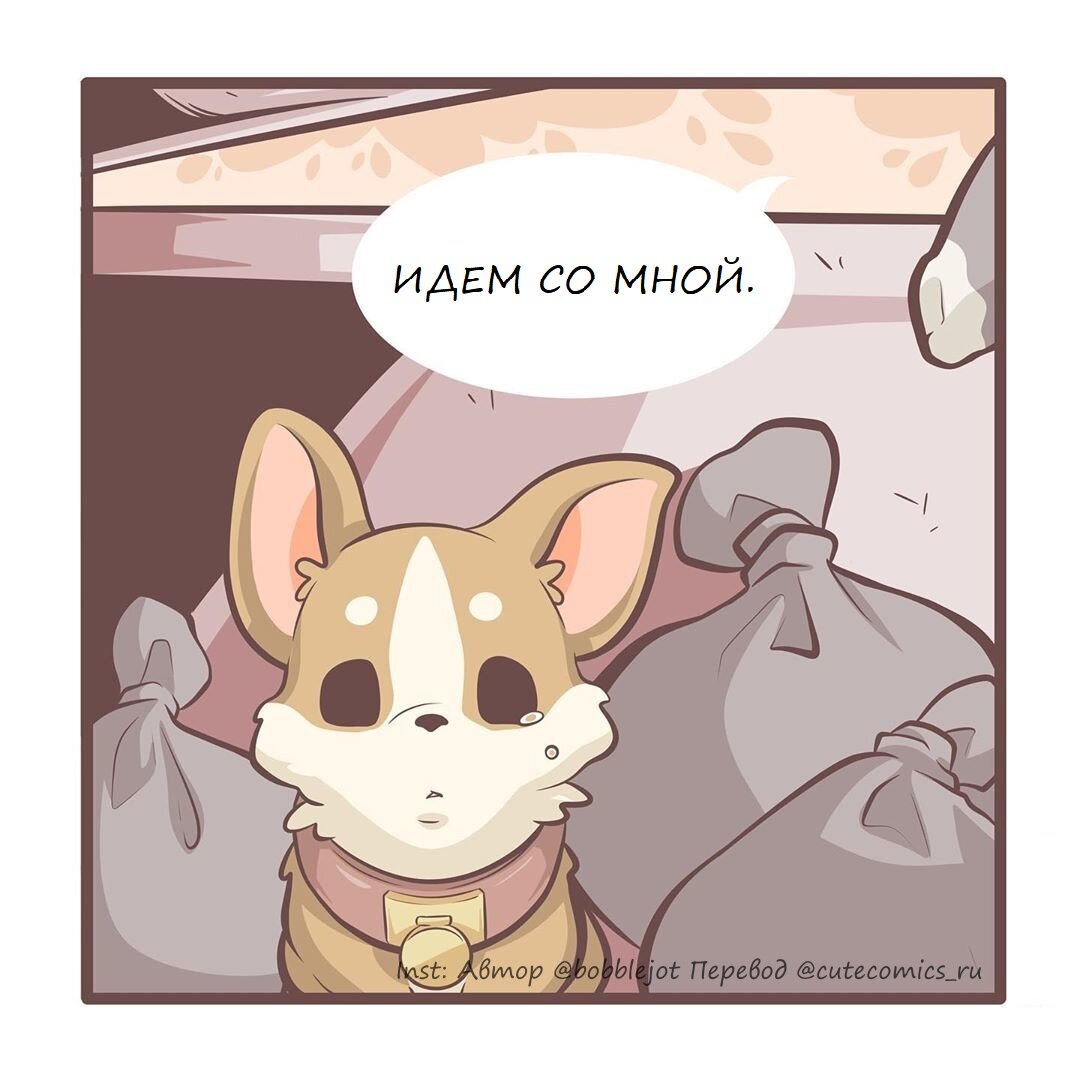 Источник: Instagram @cutecomics_ru
