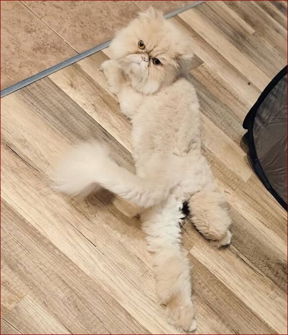 источник: Instagram.com