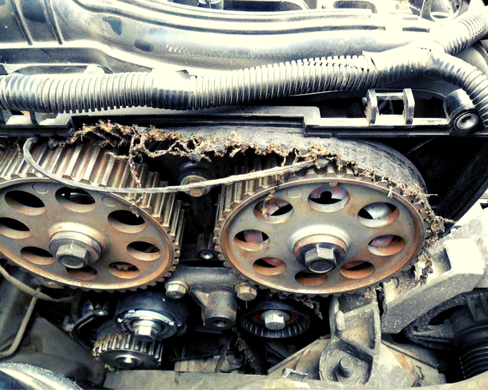 Оборванный ремень грм 2110. 6 ровер 400 оборвало ремень грм. Ремень грм ваз-2110 полторашка. Оборвало грм. 5.