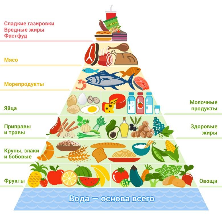 Пищевая пирамида. Изображение взято из Яндекс.Картинки