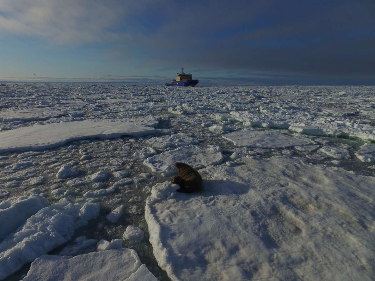 Фото северного морского пути