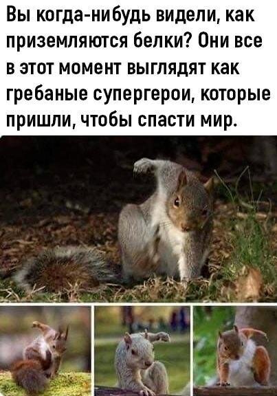 Супергерои!