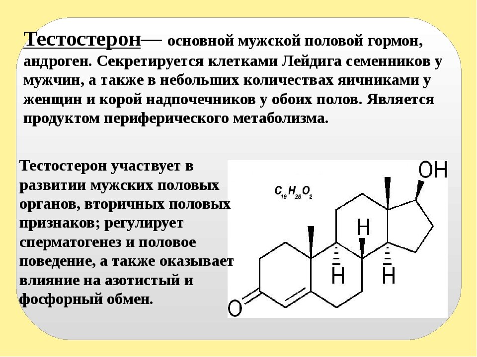 КАК СТАТЬ МУЖИКОМ ИЛИ БУСТ ТЕСТОСТЕРОНА. | Клуб Успешных Врачей | Дзен