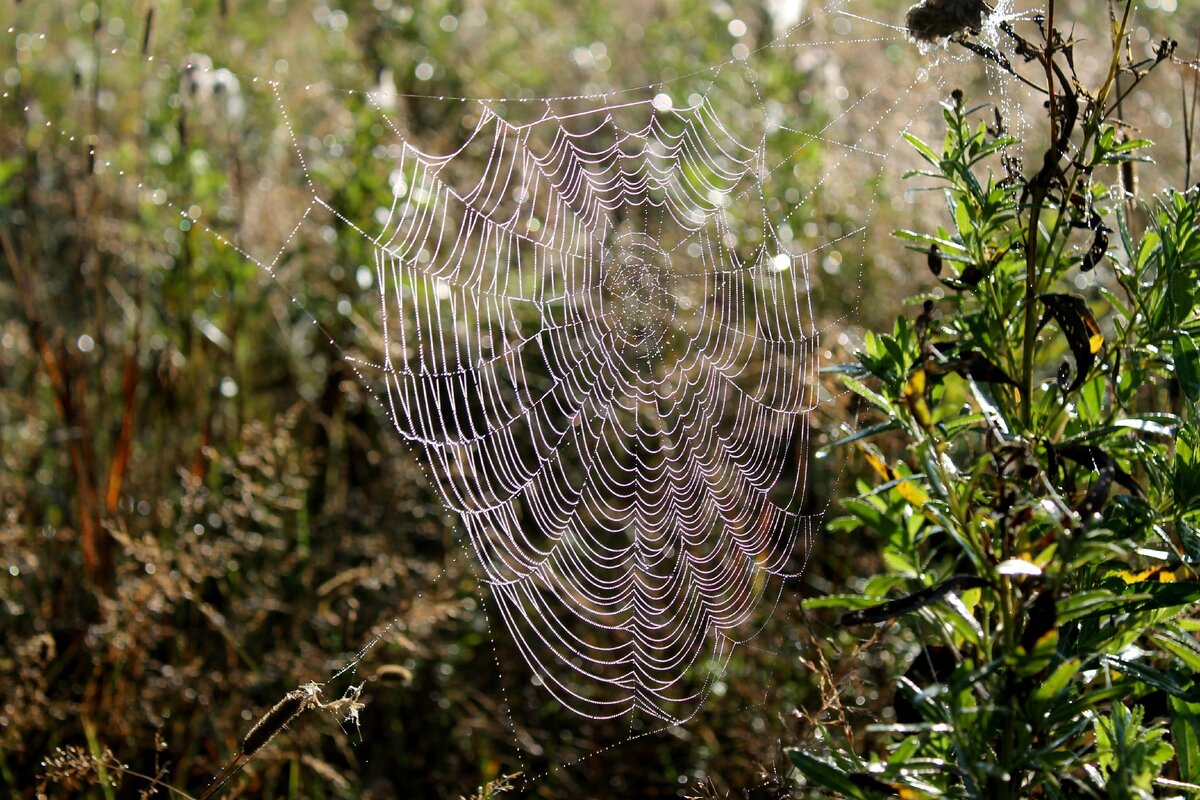 Фото из семейного архива