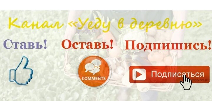 Как я до этого писала, в этом году выращиванию перцев мы решили уделить особое внимание.-2