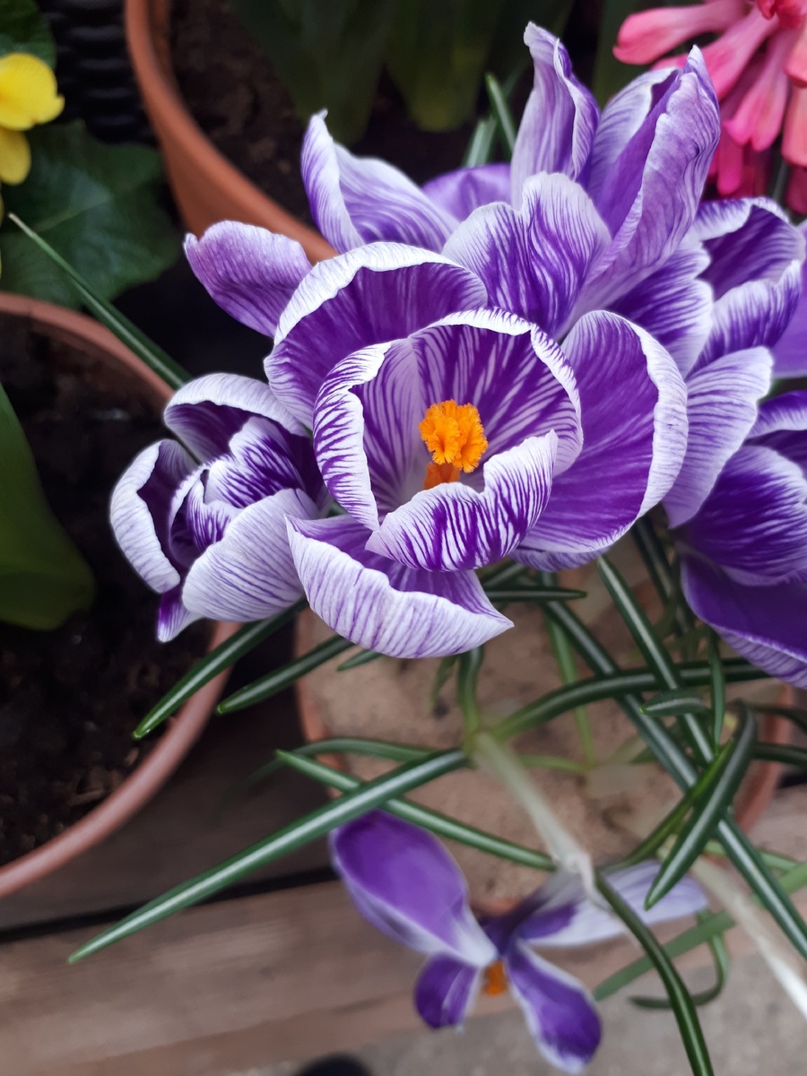 Нереальные мазки