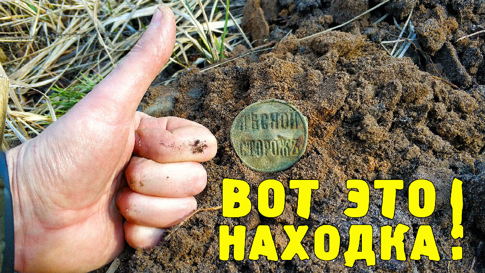 Лесные сторожа. И. Лесник в лесу для дошкольников. Соколов микитов у лесного озера рассказ. Лесные сторожа.