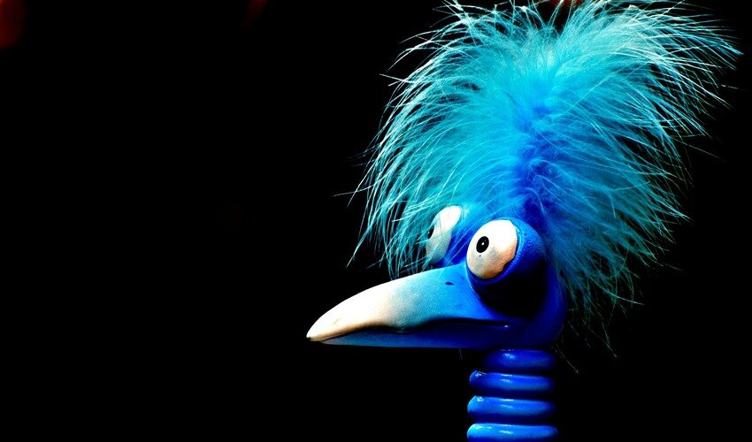 Фото: pixabay.com