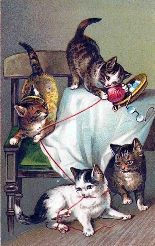 "Пока никого нет дома, мы играем!"