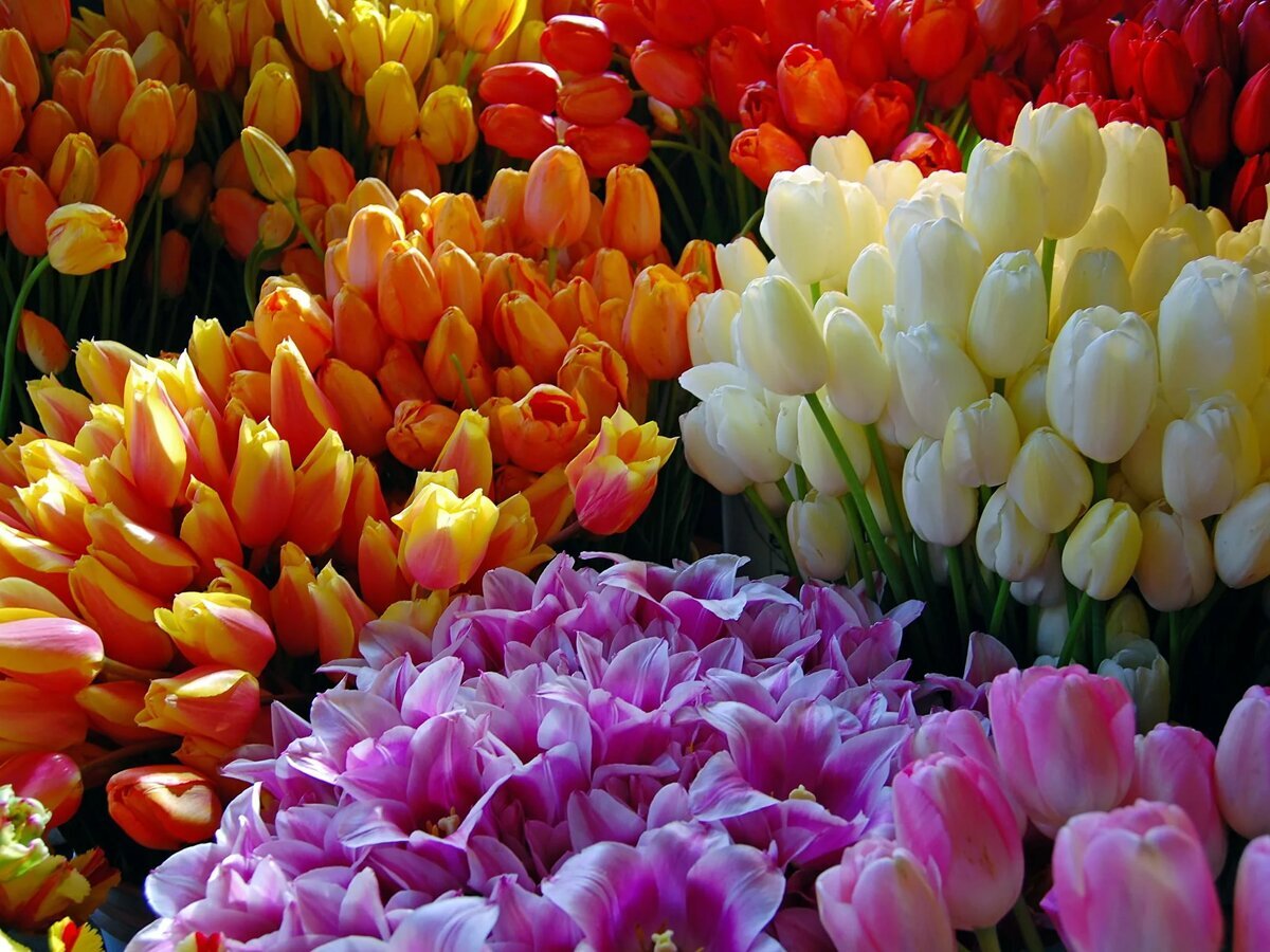 Красота из свободных источников!