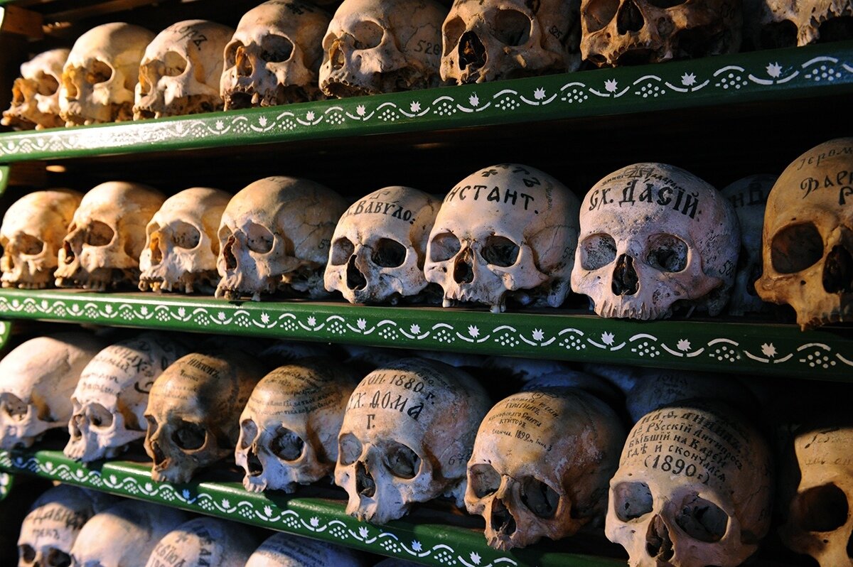 Оригинал фото:  https://sun9-65.userapi.com/c858432/v858432231/13d8b4/dqR3VlT7ijA.jpg 