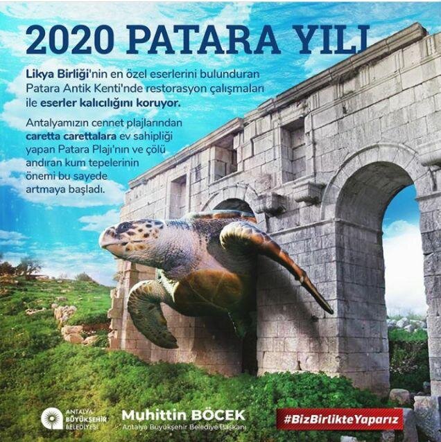 2020 год - год Патары!