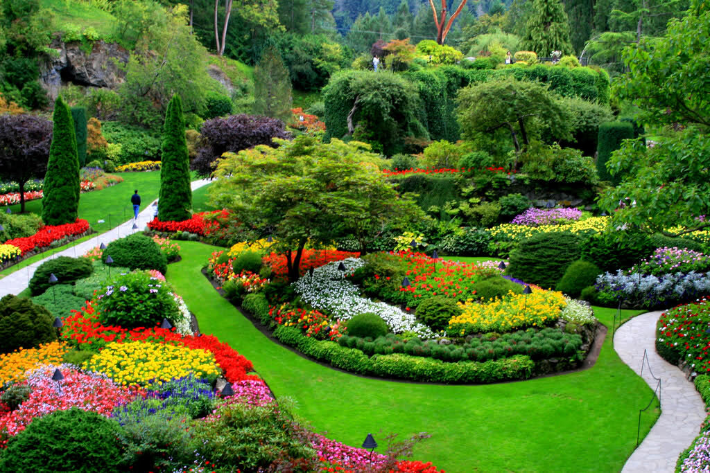 Butchart Gardens Канада. Сады Бутчартов Британская Колумбия Канада. Цветочные сады Бутчартов, Канада.