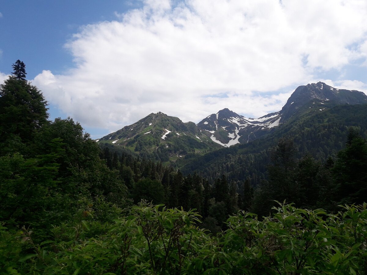 горы Абхазии