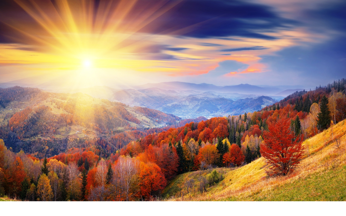 Источник : komotoz.ru